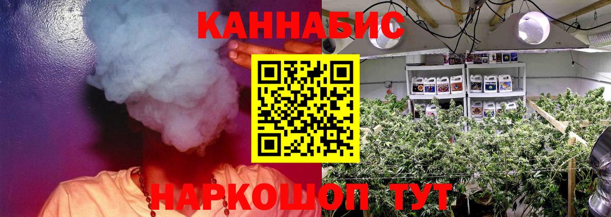 Старая Купавна  Шишки марихуана планчик  Бошки Шишки гибрид  Вход с VPN  Канабис VHQ  Конопля сатива 